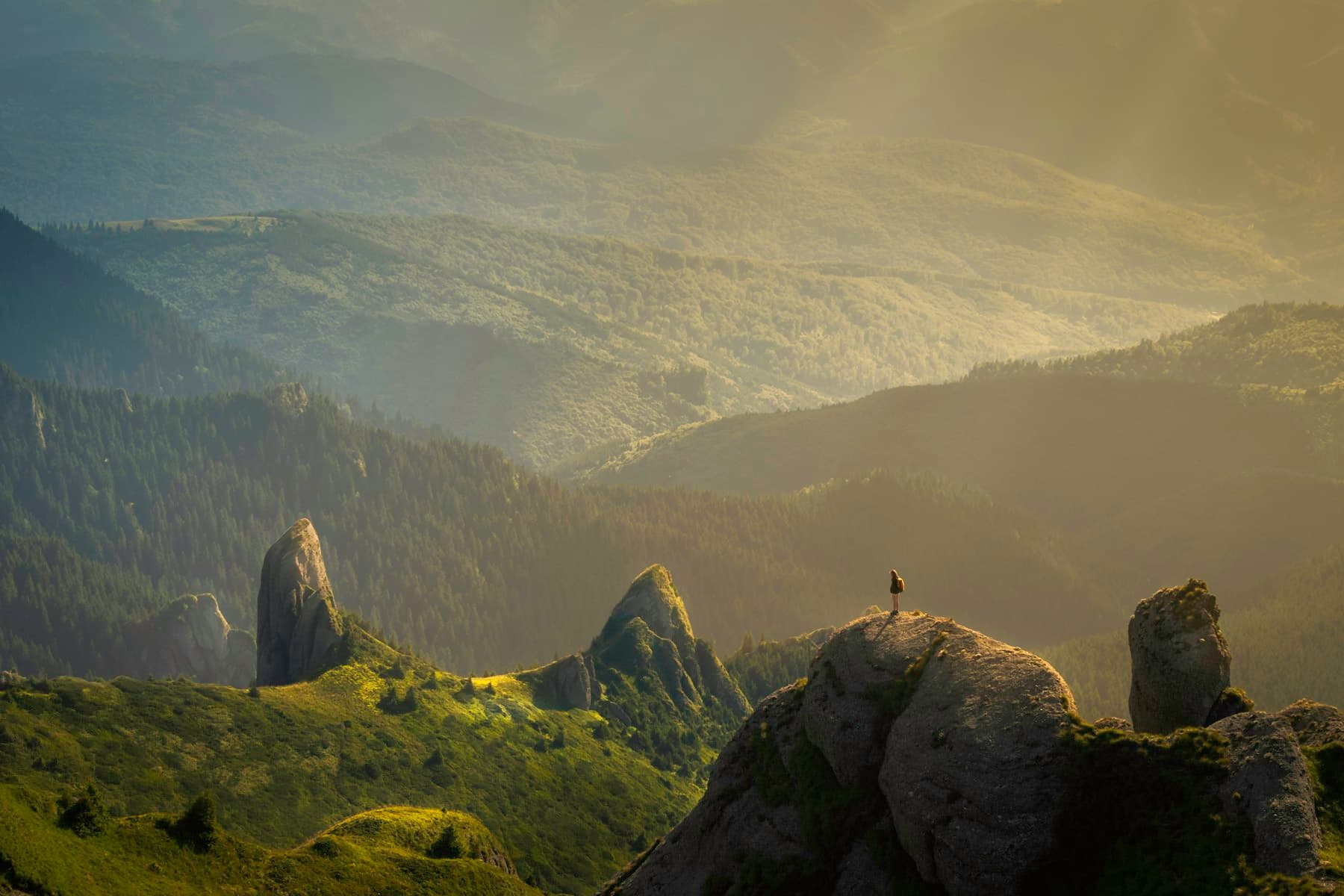 Soft New Zealand landscape background